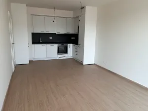 Pronájem bytu 3+kk, Praha - Řeporyje, Haenkeho, 65 m2