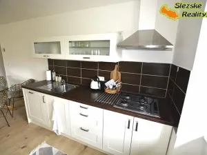 Pronájem bytu 3+kk, Janovice, 74 m2