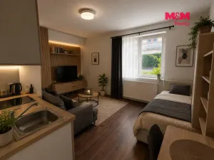 Pronájem bytu 1+kk, Mělník, Mladoboleslavská, 19 m2