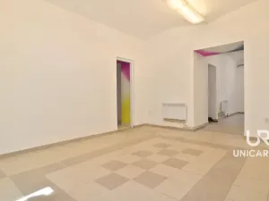 Pronájem obchodního prostoru, Brno - Veveří, Smetanova, 58 m2