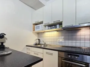 Pronájem bytu 1+kk, Praha - Smíchov, Na Neklance, 29 m2