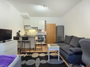 Pronájem bytu 1+kk, Praha - Smíchov, Na Neklance, 29 m2