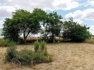 Prodej rodinného domu, Cvrčovice, Lesní, 206 m2