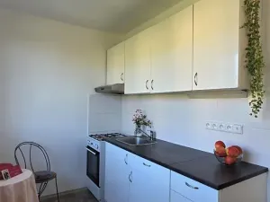 Prodej bytu 2+1, Brno, Souběžná, 55 m2