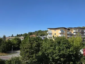 Prodej bytu 2+1, Brno, Souběžná, 55 m2