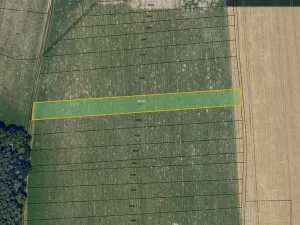 Prodej pole, Luže, 4002 m2