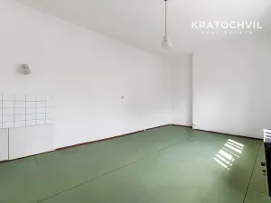 Prodej bytu 2+kk, Praha - Žižkov, Hartigova, 49 m2