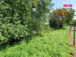 Prodej zahrady, Chlístovice, 1361 m2