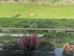 Prodej rodinného domu, Jivina, 70 m2