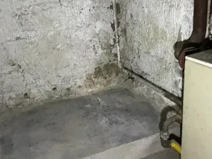 Dražba rodinného domu, Rosice, U Sýpky, 345 m2