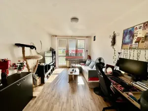 Pronájem bytu 2+1, Tábor, Budovatelů, 56 m2