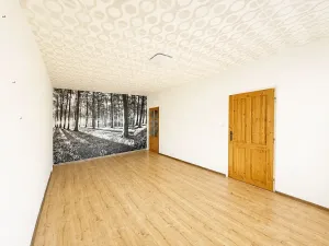 Pronájem bytu 2+1, Jirkov, Hornická, 61 m2