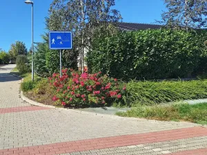 Prodej pozemku pro bydlení, Hrušovany u Brna, Pod Střediskem, 608 m2