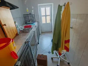 Prodej vícegeneračního domu, Lázně Bohdaneč, Škroupova, 205 m2