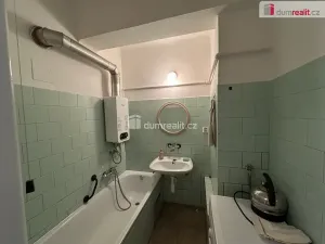Pronájem bytu 1+1, Plzeň, Sladkovského, 44 m2
