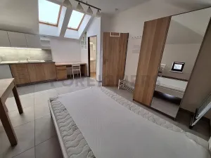 Pronájem bytu 1+kk, Olomouc, Ztracená, 20 m2