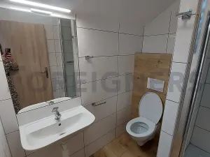 Pronájem bytu 1+kk, Olomouc, Ztracená, 20 m2