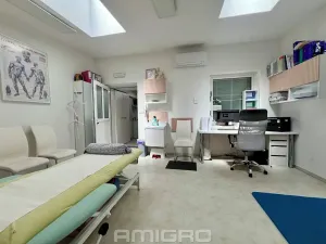 Pronájem komerční nemovitosti, Brno, Skopalíkova, 60 m2