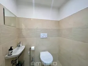 Pronájem komerční nemovitosti, Brno, Skopalíkova, 60 m2