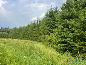 Prodej lesa, Stařeč, Horní, 15237 m2
