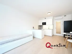 Pronájem bytu 1+kk, Praha - Hloubětín, Poděbradská, 33 m2