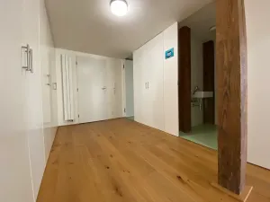 Pronájem bytu 3+kk, Praha - Staré Město, Melantrichova, 138 m2