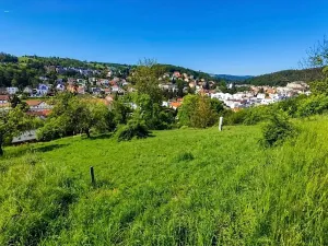 Prodej pozemku pro bydlení, Luhačovice, 1833 m2