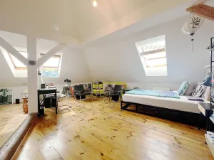 Pronájem bytu 1+1, Praha - Nusle, Spytihněvova, 43 m2