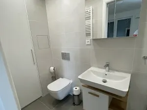 Pronájem bytu 3+kk, Praha - Řeporyje, Haenkeho, 80 m2