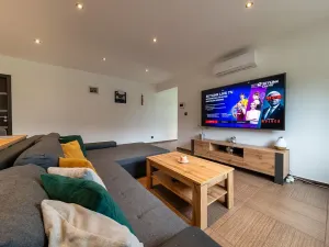 Prodej rodinného domu, Plzeň, Pod Radyní, 303 m2