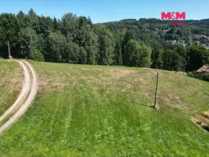 Prodej pozemku pro bydlení, Tanvald - Žďár, 2000 m2
