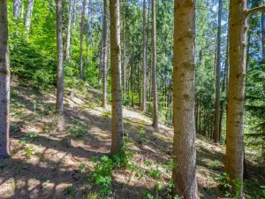 Prodej chaty, Leština, 130 m2