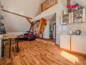 Prodej rodinného domu, Litoměřice - Předměstí, Na Vinici, 200 m2