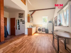 Prodej rodinného domu, Litoměřice - Předměstí, Na Vinici, 200 m2