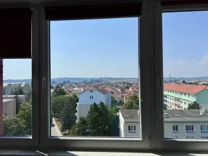 Pronájem bytu 1+kk, Brno, Kneslova, 20 m2