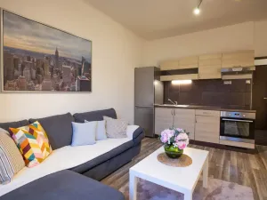 Pronájem bytu 2+kk, Praha - Žižkov, Jana Želivského, 56 m2