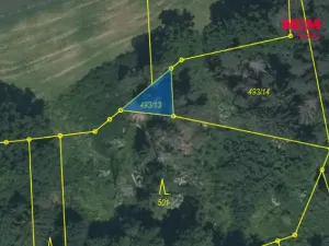Prodej lesa, Slabčice - Písecká Smoleč, 48910 m2