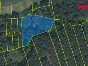 Prodej lesa, Slabčice - Písecká Smoleč, 48910 m2
