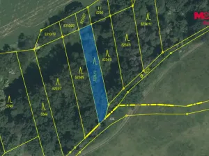 Prodej lesa, Slabčice - Písecká Smoleč, 48910 m2