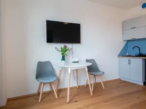 Pronájem bytu 1+kk, Praha - Vinohrady, Perucká, 27 m2