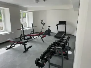 Pronájem bytu 1+kk, Praha - Vinohrady, Perucká, 27 m2