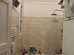 Pronájem bytu 2+kk, Praha - Nusle, V Horkách, 52 m2