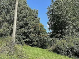 Prodej sadu/vinice, Ondřejov, Břeský vrch, 3453 m2