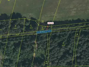 Dražba lesa, Nová Bystřice, 148 m2