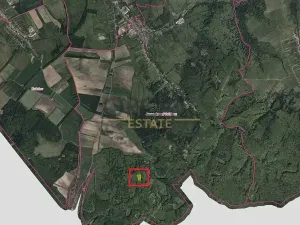 Prodej podílu louky, Javorník, 2636 m2
