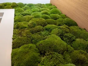 Prodej bytu 3+kk, Praha - Bubeneč, Na výšinách, 113 m2