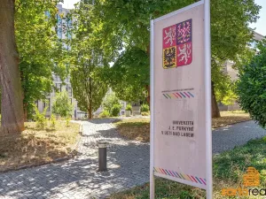Pronájem bytu 2+kk, Ústí nad Labem, Resslova, 45 m2