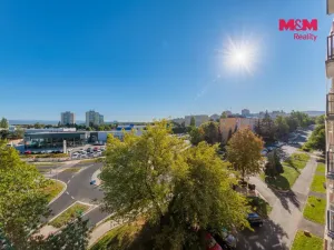Prodej bytu 3+1, Sokolov, Švabinského, 83 m2