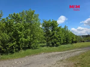 Prodej pozemku pro bydlení, Bor - Boječnice, 1093 m2