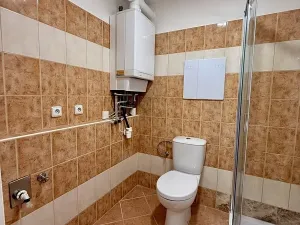 Pronájem bytu 1+kk, Brno, Vavřinecká, 41 m2